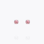 Caroline Svedbom - Mini Stud Earrings Light Rose Rhodium