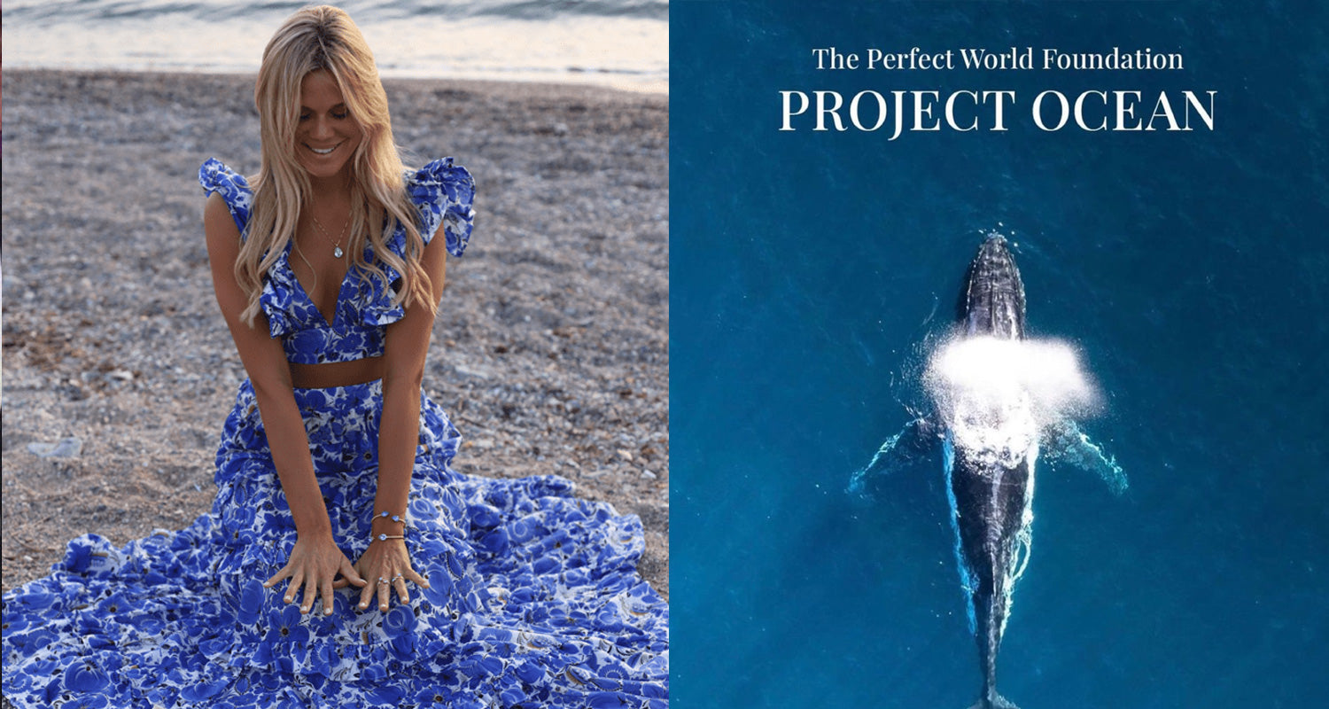Caroline Svedboms samarbete med The Perfect World Foundation