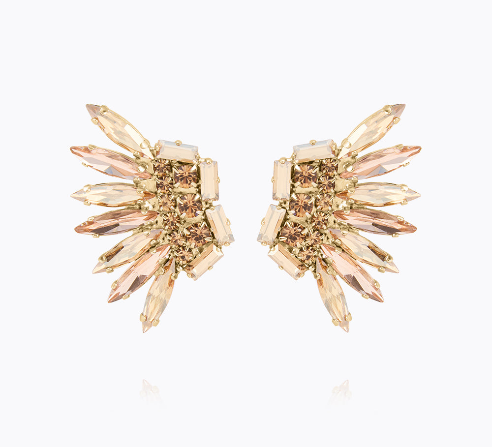 Feather Earrings / Golden Combo